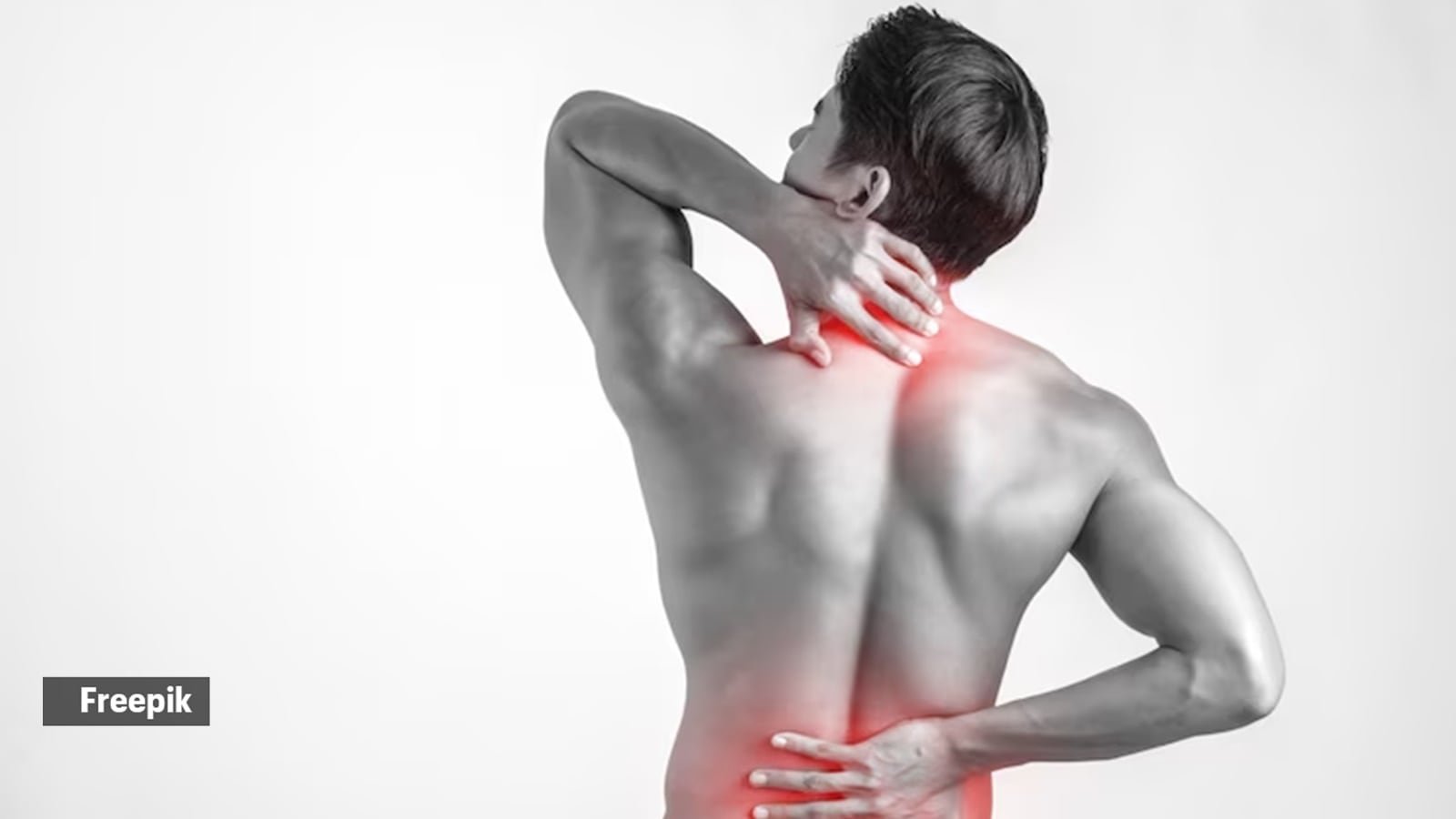 back muscles are important for spinal stability