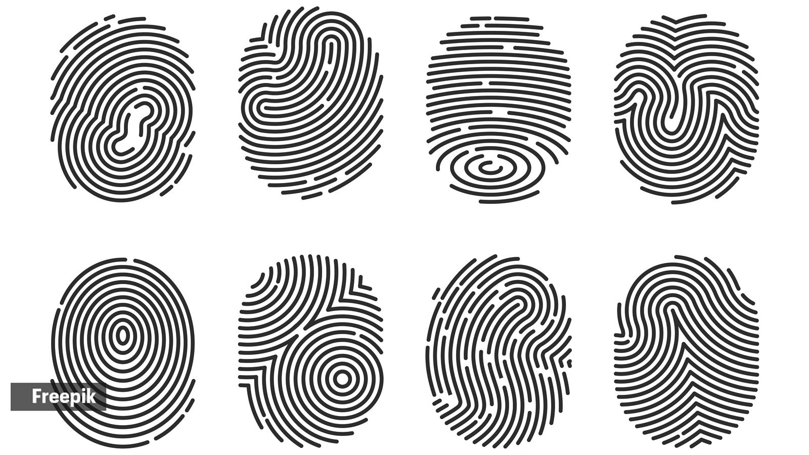fingerprint