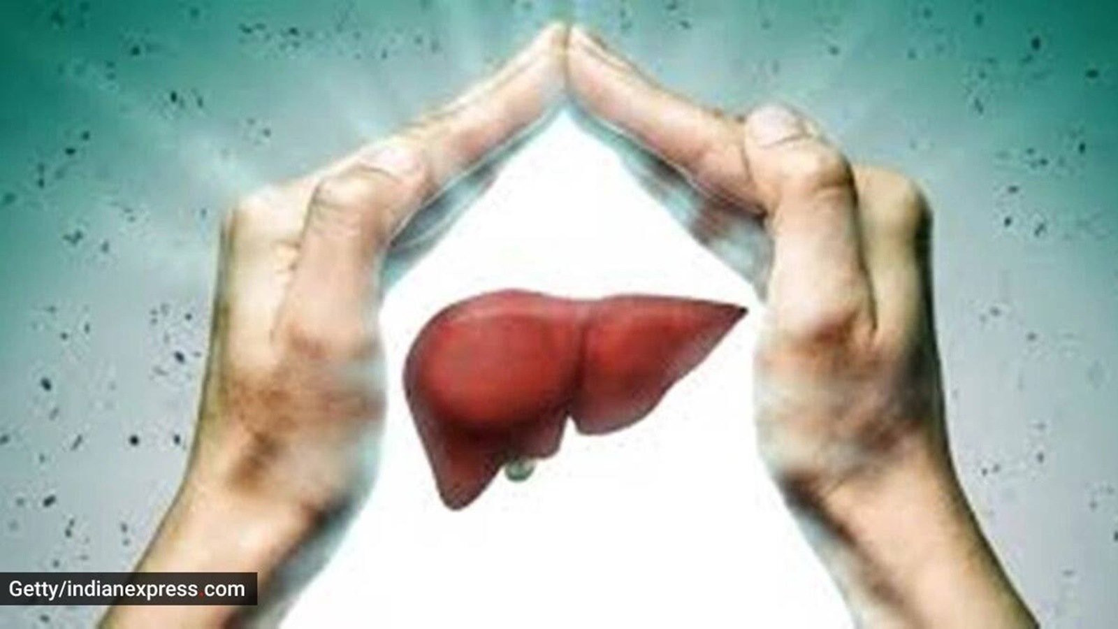 liver